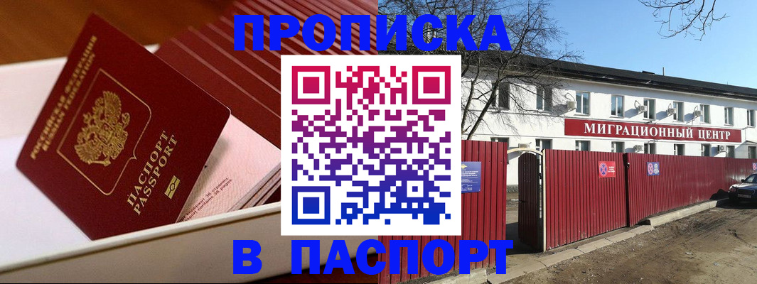 прописка 2025 в Камешково